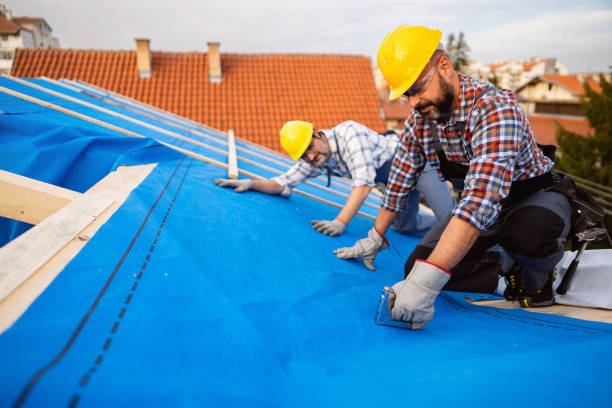 Best Metal Roofing Contractor  in Waukomis, OK